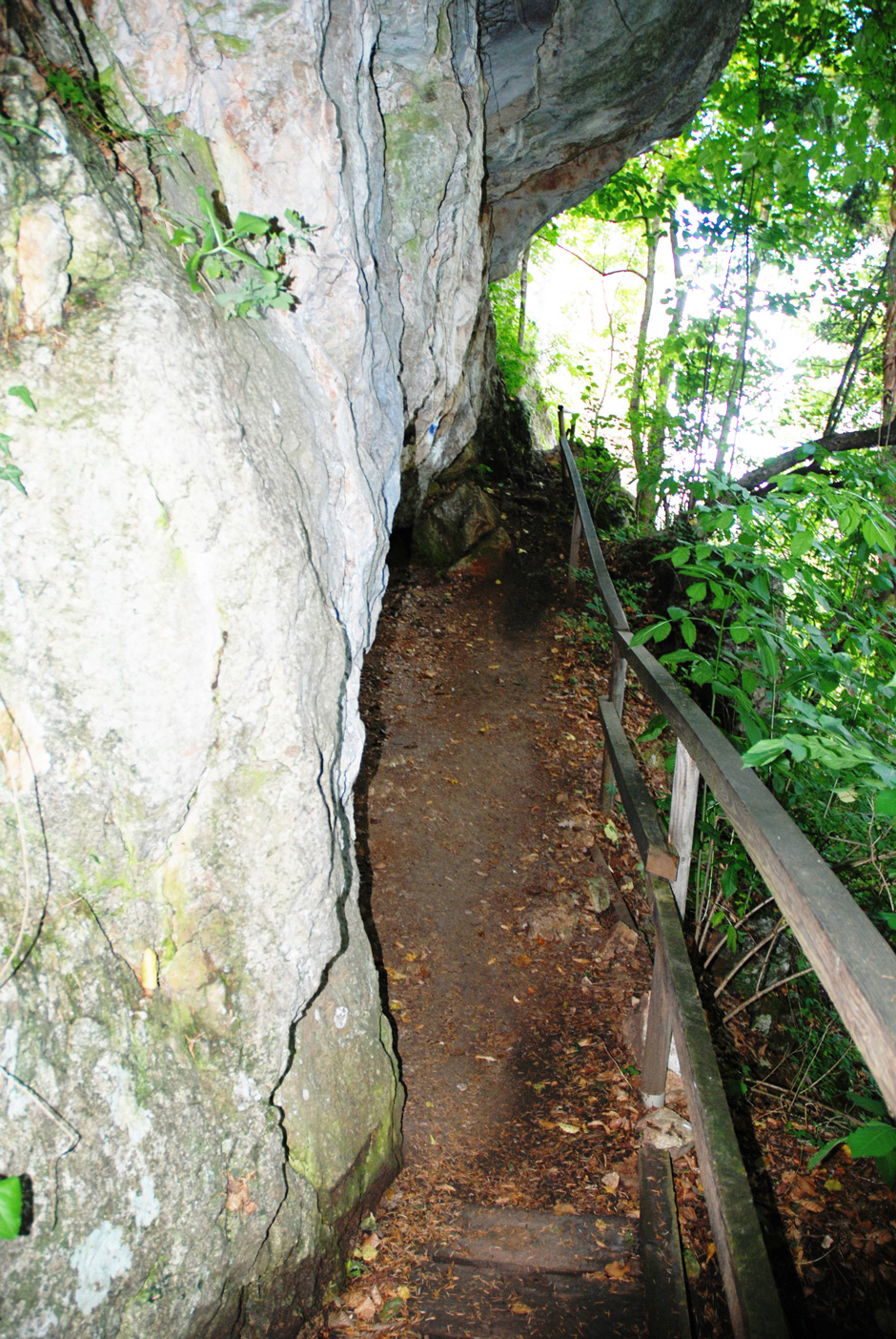 Abstieg zur Einhornhöhle