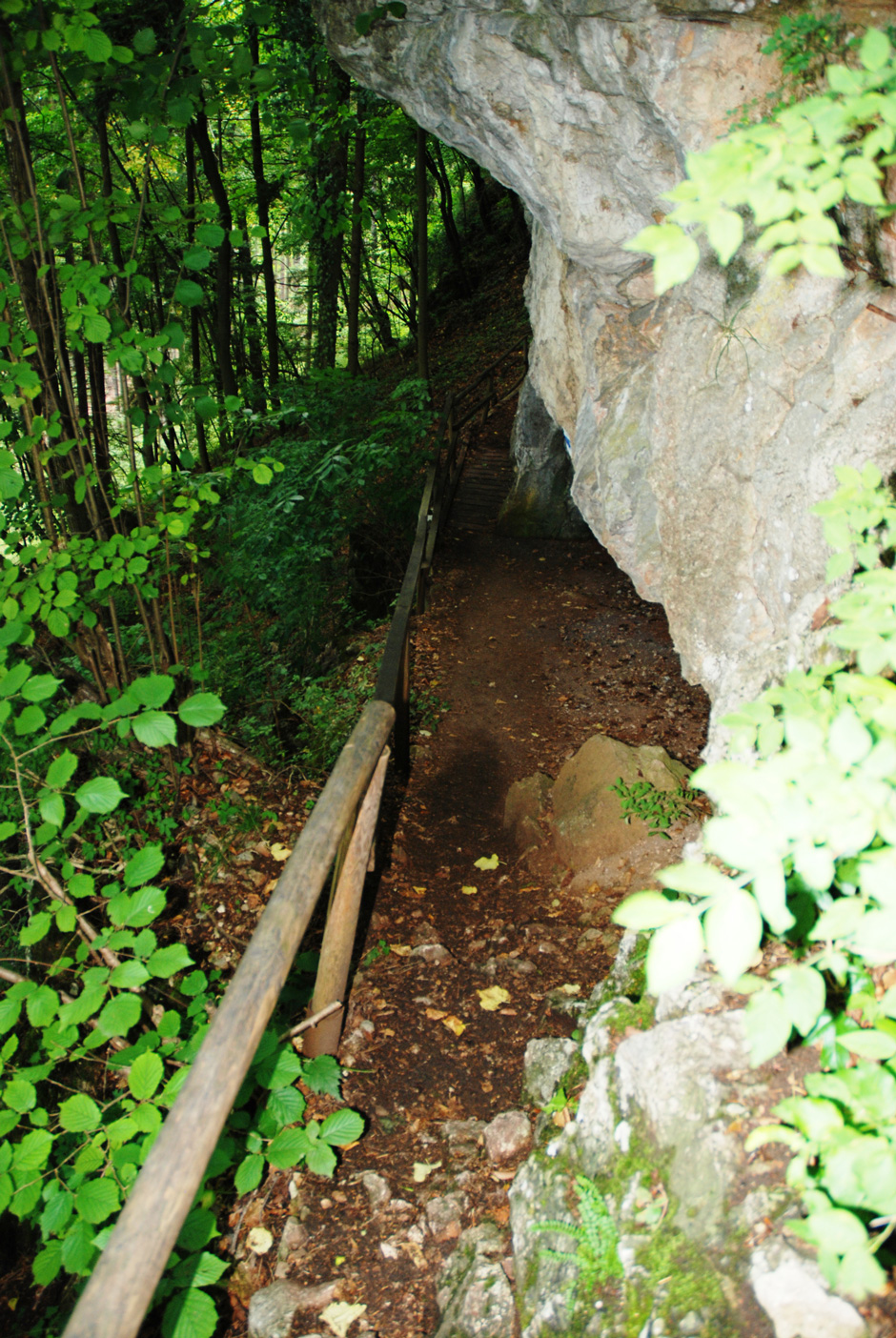 Abstieg zur Einhornhöhle