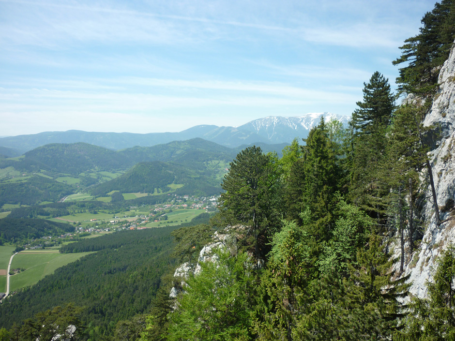 Blick Richtung Schneeberg
