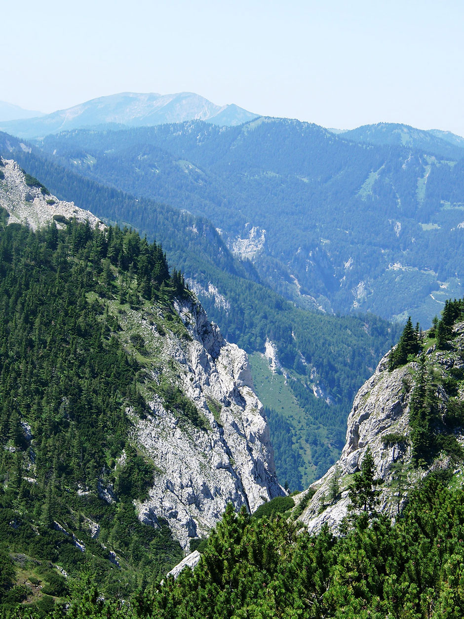 Bärenlochsteig Rückblick Bärengraben