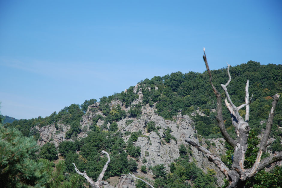 Blick zur Vogelberg-Felsenkanzel