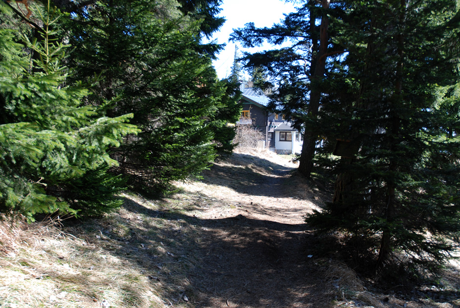 Waldweg mit Wilhelm-Eicherthütte