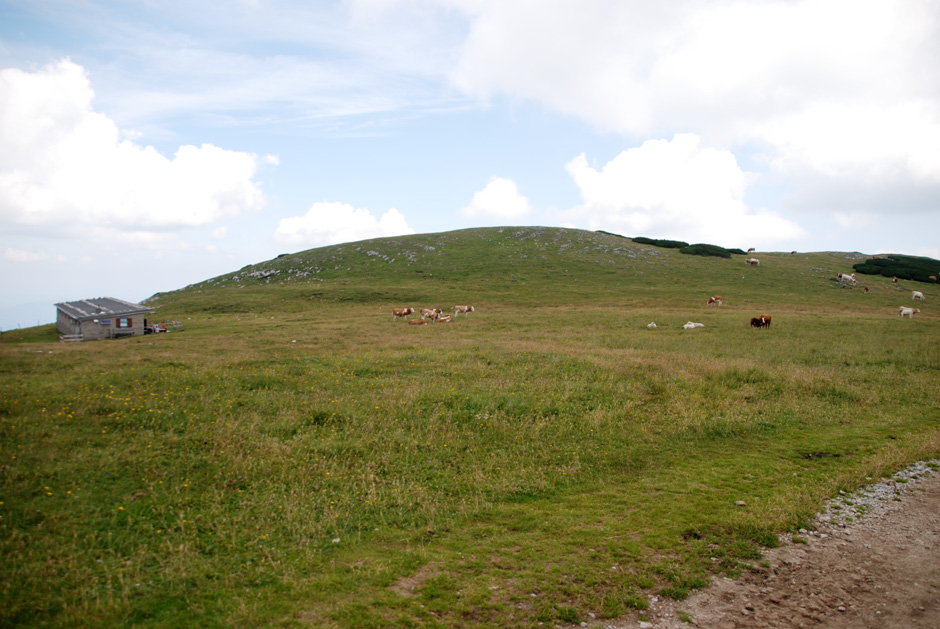 Wanderweg Richtung Bergbahnhof