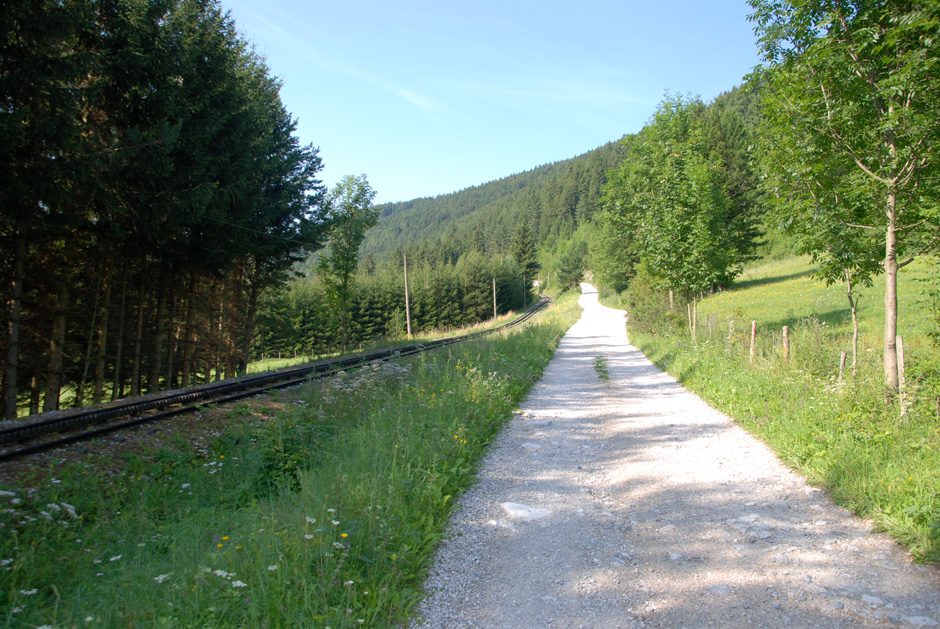 Forstweg Hengstweg