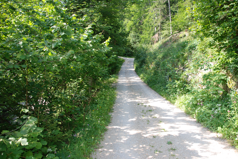 Forstweg Hengstweg