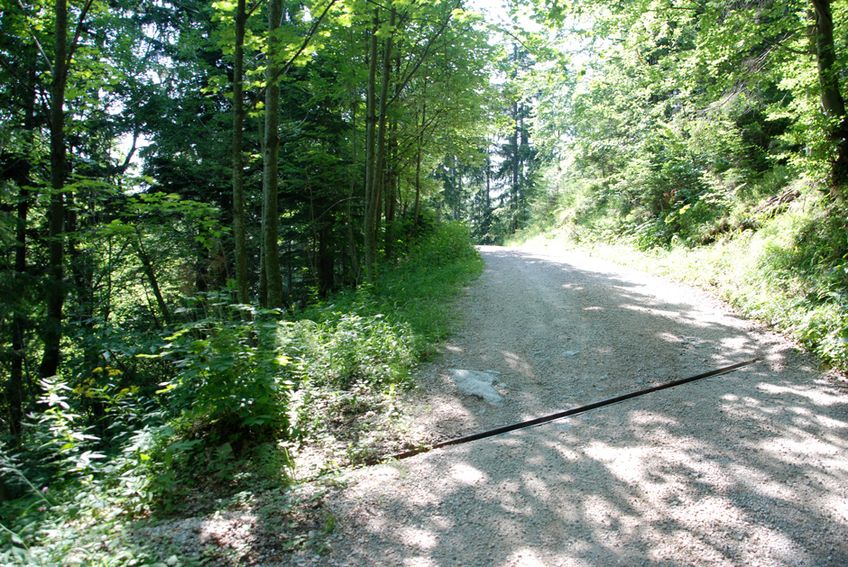 Forstweg Hengstweg