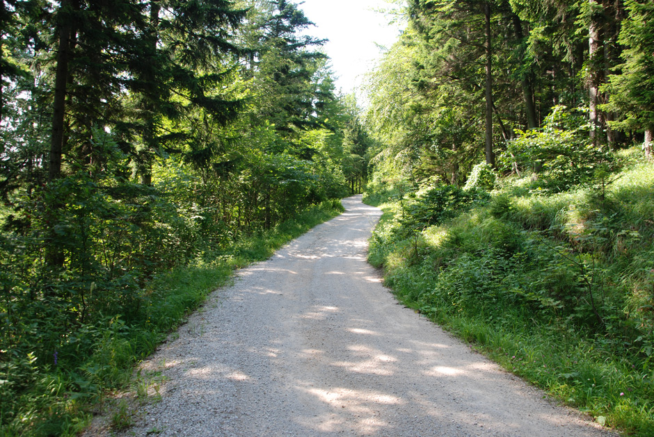 Forstweg Hengstweg