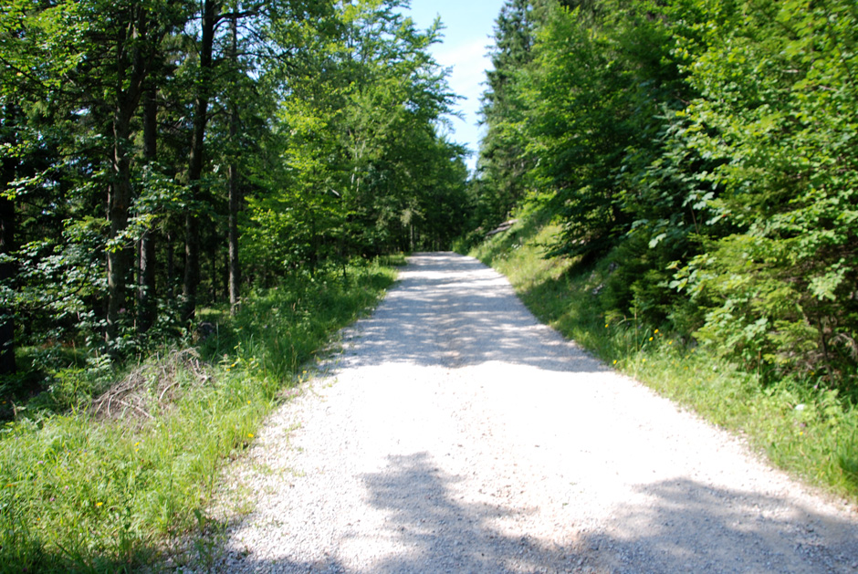 Forstweg Hengstweg