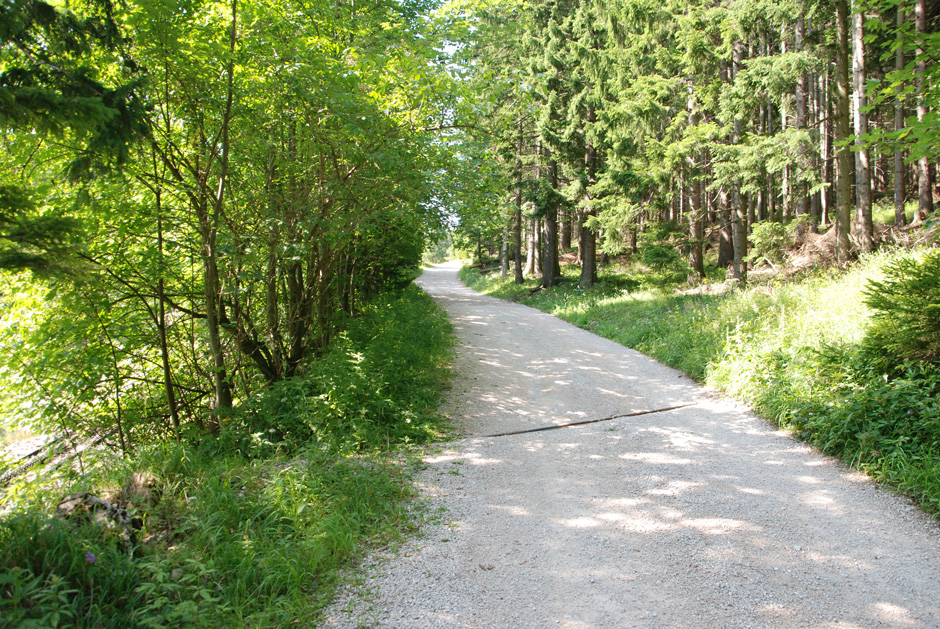 Forstweg Hengstweg