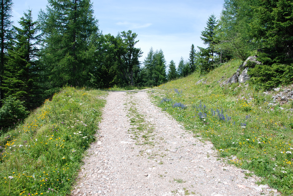 Forstweg