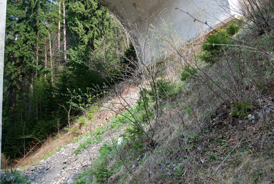Kalte-Rinne-Viadukt