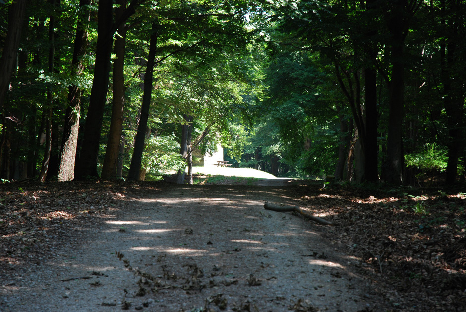 Weg zur Hubertuswarte