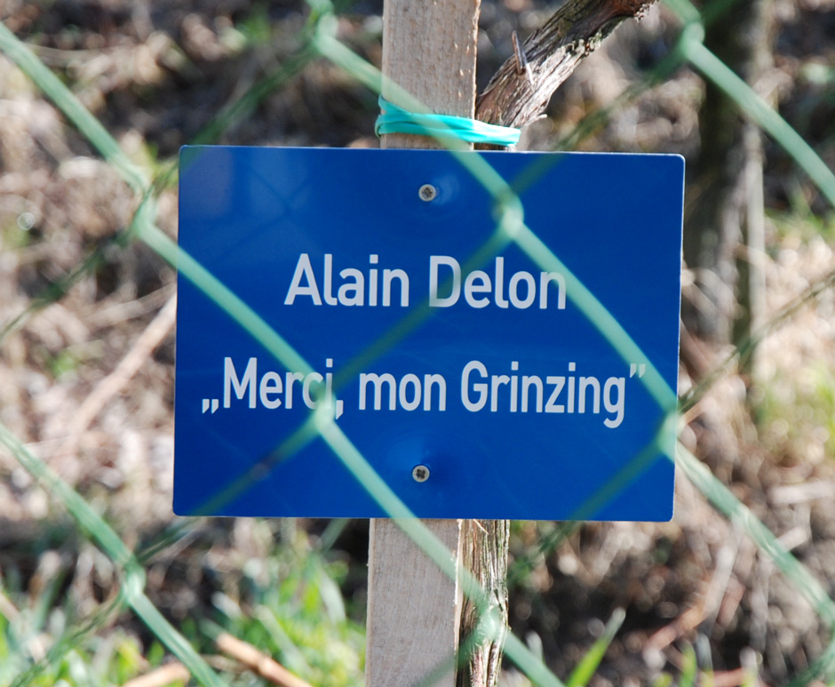 Alain Delon 