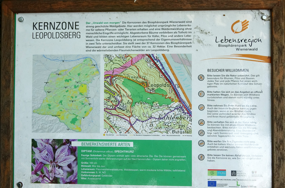 Infomationstafel Kernzone Leopoldsberg