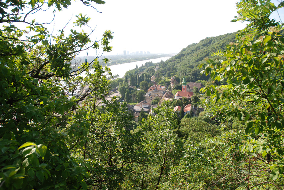 Kahlenbergerdorf vom Nasenweg