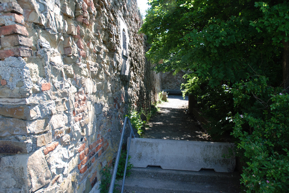 Seitenmauer Leopoldsberg